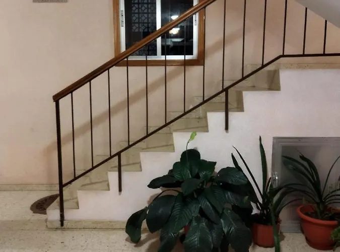 Aloha Apartment